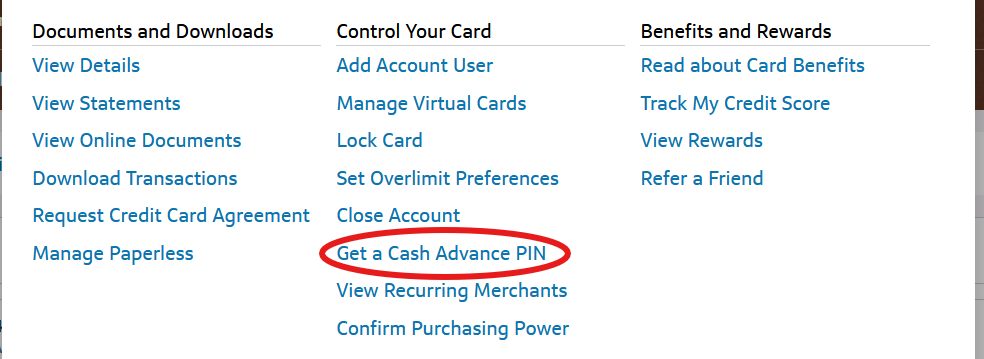 Screenshot of website and user selecting the Get a Cash Advance Pin option