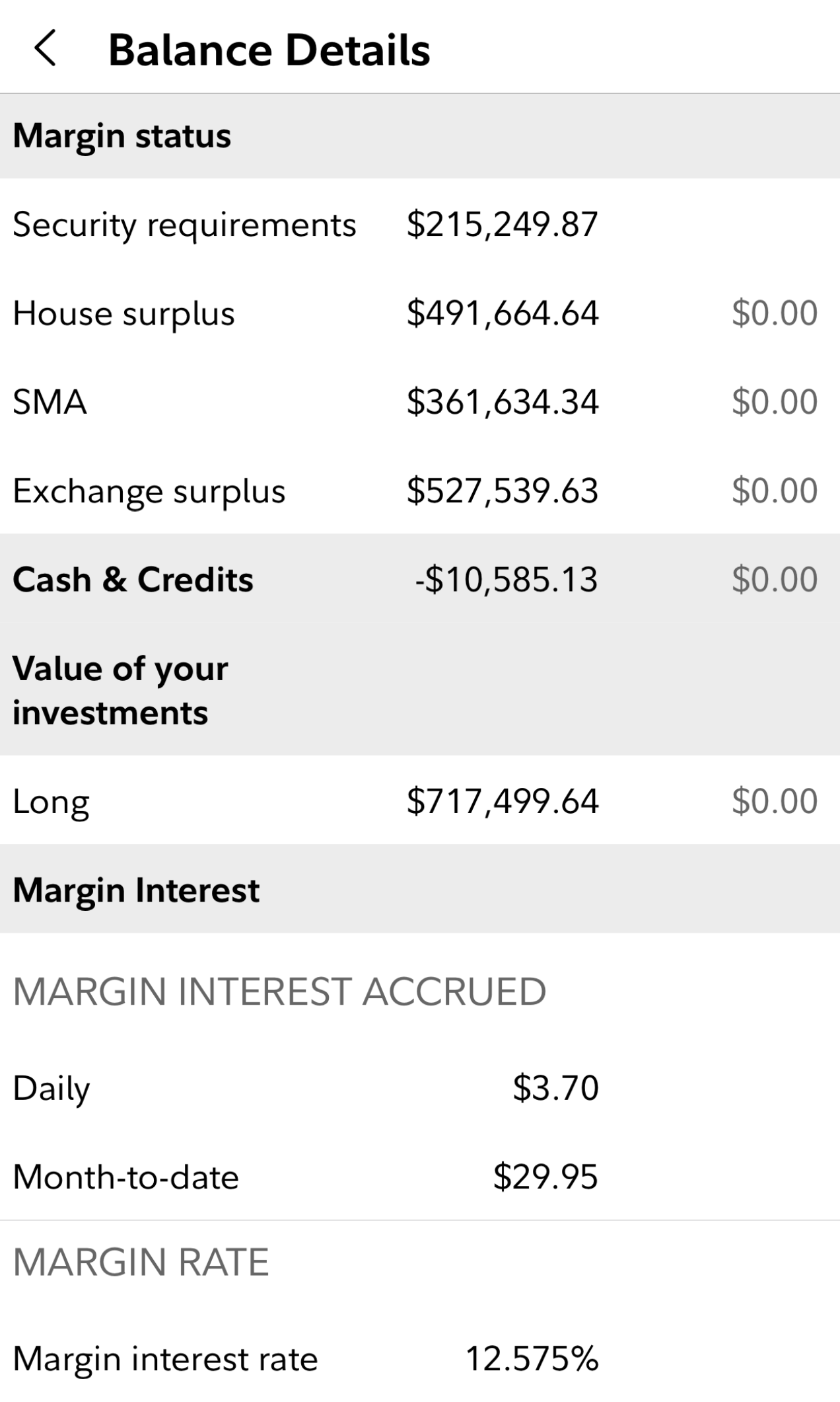 Stock margin balance details